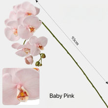 Load image into Gallery viewer, VICKY YAO - Exclusive Design Luxury Bespoke Bonsai &amp; Floral Art Arrangement Botanical Sculpture for Interiors
