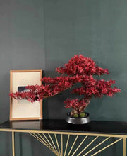 Laden Sie das Bild in den Galerie-Viewer, VICKY YAO Design Aesthetic -  New Arrival Exclusive Design Handmade Japanese Style Red Maple Bonsai Art 55x22x38cm H