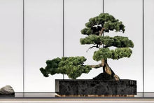 Load image into Gallery viewer, VICKY YAO Fine Bonsai - Realistic Hotel Style Bonsai Art with Marble Base