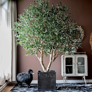 VICKY YAO- VICKY YAO- Realistic Faux Olive Tree Artificial Olive Tree / Outdoor Indoor Waterproof and UV-resistant 2.3cm H