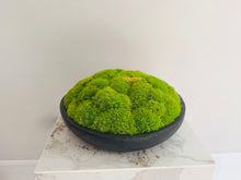 將圖片載入圖庫檢視器 VICKY YAO Design Aesthetic - Real Preserved Moss Black Bowl Centerpiece,Wabisabi Style The FOREST Black Bowl Moss Centerpiece