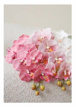 Load image into Gallery viewer, VICKY YAO - Lifelike Luxury Natural Touch Pink Phalaenopsis Orchid Arrangement with Preserved Moss for Home &amp; Office Decor