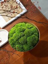 Load image into Gallery viewer, VICKY YAO - Natural Roman Travertine Bowl with Preserved Moss Wabi-Sabi Aesthetic Home Decor | Handmade Zen Art W15xH25cm