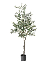 Load image into Gallery viewer, VICKY YAO - Artificial Olive Tree, 182 cm Tall Faux Olive Plant in Cement Pot Potted Olive Silk Tree Fake Greenery Plant for Indoor Home Office