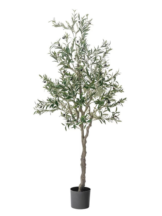 VICKY YAO - Artificial Olive Tree, 182 cm Tall Faux Olive Plant in Cement Pot Potted Olive Silk Tree Fake Greenery Plant for Indoor Home Office
