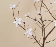 Laden Sie das Bild in den Galerie-Viewer, VICKY YAO -  Handmade Japanese studio art pottery Vase textured grey Ceramic Vase – Rough Potter Without flowers Wabi Sabi Vase