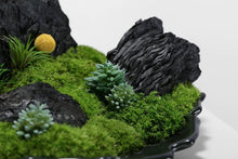 Load image into Gallery viewer, VICKY YAO -Preserved Moss Rock Garden | Zen Stone Landscape Arrangement | Maintenance-Free Japanese Style Decor | Modern Minimalist Home Art L33xH28cm