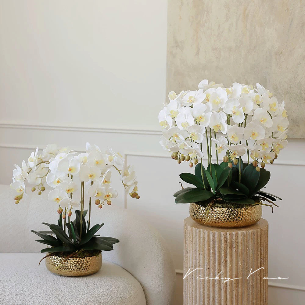 VICKY YAO Design - Best selling Luxury Natural Touch White 6 Stems Phalaenopsis Orchid Arrangement with Real Preserved Moss for Home & Office Decor