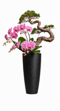 Load image into Gallery viewer, VICKY YAO - Exclusive Design Luxury Bespoke Bonsai &amp; Floral Art Arrangement Botanical Sculpture for Interiors