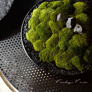 VICKY YAO Design Aesthetic - Real Preserved Moss Bowl Centerpiece, Unique form , table centerpiece 30x30x20cm