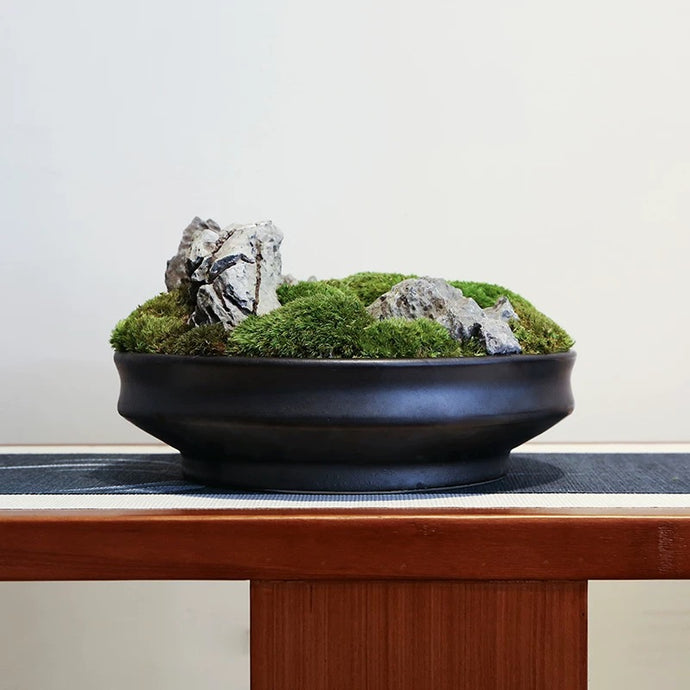 VICKY YAO - Decorative Trays Black Moss Bowl Moss Gifts for Centerpiece Home Office Decor Custom Unique Gift Decorative Bowl Decor Gifts
