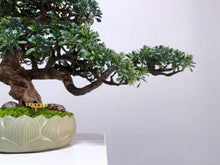 Load image into Gallery viewer, VICKY YAO - Handmade New Arrival Artificial Bonsai Art Gift for Him in Lotus Medium Pot 50x19x33cmH