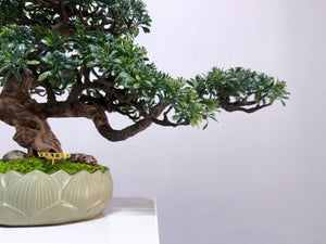 VICKY YAO - Handmade New Arrival Artificial Bonsai Art Gift for Him in Lotus Medium Pot 50x19x33cmH