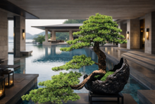 Laden Sie das Bild in den Galerie-Viewer, VICKY YAO Fine Bonsai - Hand Made Exclusive Limited Deluxe Faux Bonsai Art L100 x W50 x H75cm