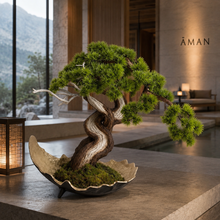 Laden Sie das Bild in den Galerie-Viewer, VICKY YAO-Artificial Bonsai Tree Handcrafted Realistic Bonsai Art with Genuine Tree Trunk, Preserved Moss &amp; Hand-Gilded Planter  L55xW25xH50