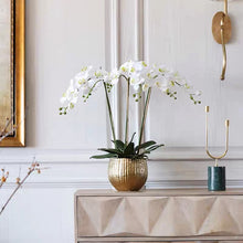 Load image into Gallery viewer, VICKY YAO Luxury Realistic Real Touch Orchid Arrangement in Gold Pot