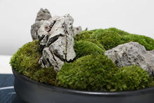 將圖片載入圖庫檢視器 VICKY YAO - Decorative Trays Black Moss Bowl Moss Gifts for Centerpiece Home Office Decor Custom Unique Gift Decorative Bowl Decor Gifts