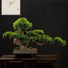 將圖片載入圖庫檢視器 VICKY YAO Faux Bonsai - Exclusive Design Handmade Artificial Bonsai Tree in Realistic Ceramic Pot 70x25x45cm