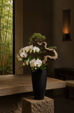 画像をギャラリービューアに読み込む, VICKY YAO - Exclusive Design Luxury Bespoke Bonsai &amp; Floral Art Arrangement – Exclusive Design Botanical Sculpture for Interiors