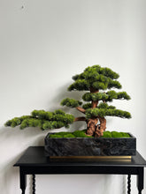 Load image into Gallery viewer, VICKY YAO Fine Bonsai - Realistic Hotel Style Bonsai Art with Marble Base