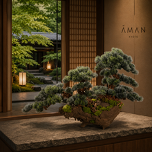 Load image into Gallery viewer, VICKY YAO Fine Bonsai - Exclusively Designed Unique Handcrafted Century-Old Driftwood Realistic Bonsai Art Sculpture L130xH85cm