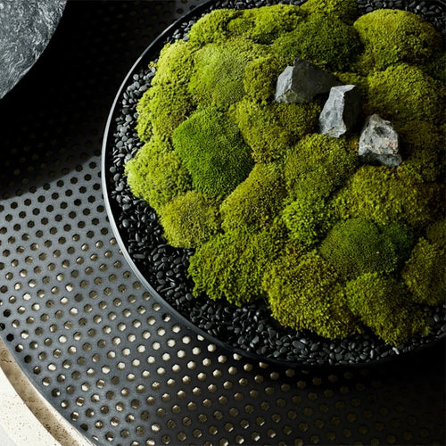 VICKY YAO Design Aesthetic - Preserved Moss World – Customizable Natural Home Décor Installation Art 30x30x20cm