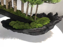 Load image into Gallery viewer, VICKY YAO - Fine Art Forest Bonsai Sculpture ｜Artificial Bonsai Driftwood Style Japanese Zen Tree Arrangement – Luxury Home Decor
