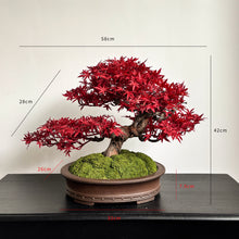 Load image into Gallery viewer, VICKY YAO Fine Bonsai - 2025 Latest Artwork: Realistic Bonsai Art Featuring Red Maple Leaves 40cmH