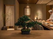 Laden Sie das Bild in den Galerie-Viewer, VICKY YAO - Art Grade Faux Bonsai Tree Luxury Handmade Botanical Sculpture for Elegant Interiors
 L39 x W19 x H29cm