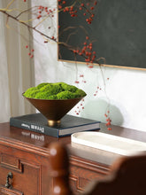 Load image into Gallery viewer, VICKY YAO - Natural Roman Travertine Bowl with Preserved Moss Wabi-Sabi Aesthetic Home Decor | Handmade Zen Art W15xH25cm