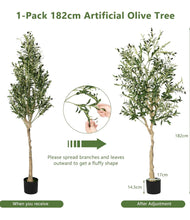 Load image into Gallery viewer, VICKY YAO - Artificial Olive Tree, 182 cm Tall Faux Olive Plant in Cement Pot Potted Olive Silk Tree Fake Greenery Plant for Indoor Home Office