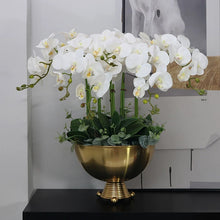 Load image into Gallery viewer, VICKY YAO Design - Luxury Artificial Orchid Flower Arrangement With Triangle Ball Vase Short Size H52cm