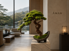 Laden Sie das Bild in den Galerie-Viewer, VICKY YAO-Artificial Bonsai Tree in Half-Moon Pot ｜Zen Decor for Home or Office | Japanese Style Faux Pine Tree with Moss L55xW25xH50cm