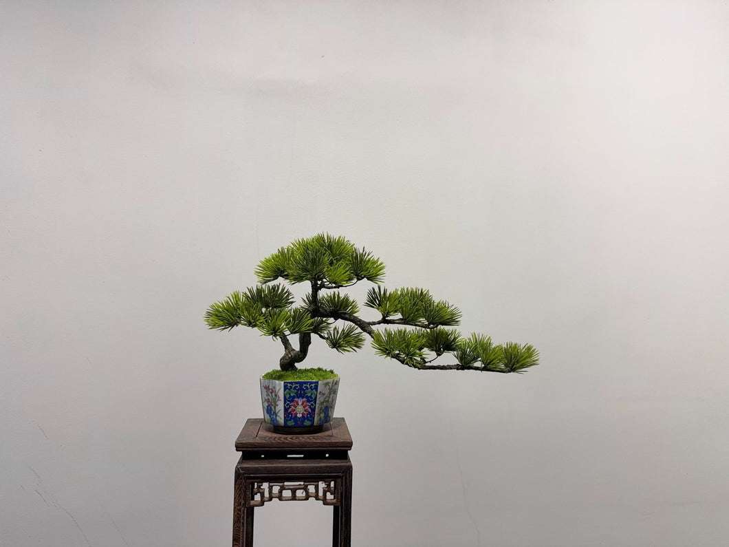 VICKY YAO Fine Bonsai- Exclusive Design Enamel Craft Basic Faux Bonsai Art 35x14x20 Gift Box
