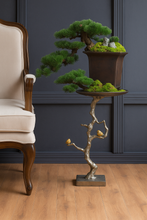 Laden Sie das Bild in den Galerie-Viewer, VICKY YAO - Luxury Realistic Artificial Bonsai Pine Tree with Moss &amp; Rock | Faux Plant in Planter | Japanese Zen Home Decoration 48x31x42cmH