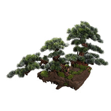 Load image into Gallery viewer, VICKY YAO Fine Bonsai - Exclusively Designed Unique Handcrafted Century-Old Driftwood Realistic Bonsai Art Sculpture L130xH85cm