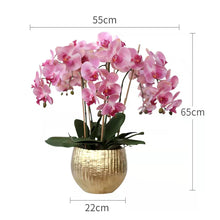 Load image into Gallery viewer, VICKY YAO Luxury Realistic Real Touch Orchid Arrangement in Gold Pot