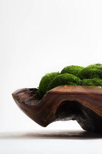 VICKY YAO Design Aesthetic - Real Preserved Moss Bowl Centerpiece, Unique form , table centerpiece The FOREST Bowl.  Moss Centerpiece. D30cm