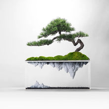 Load image into Gallery viewer, VICKY YAO Bonsai Art - Acrylic Floating Landscape Realistic Bonsai Art Sculpture