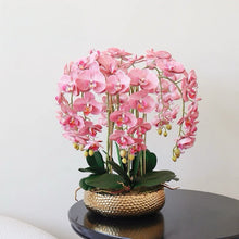 Load image into Gallery viewer, VICKY YAO - Lifelike Luxury Natural Touch Pink Phalaenopsis Orchid Arrangement with Preserved Moss for Home &amp; Office Decor