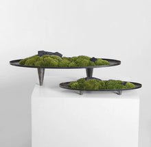Load image into Gallery viewer, VICKY YAO  - Modern Zen Moss Centerpiece | Elevated Tabletop Landscape Art Japanese Inspired Table Decor Home &amp; Office Decor Wabisabi Design