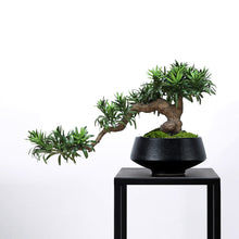 Laden Sie das Bild in den Galerie-Viewer, VICKY YAO Design Aesthetic - Mini Realistic Buddha Pine Bonsai 47x15x28cm