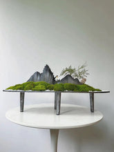 Load image into Gallery viewer, VICKY YAO Design Aesthetic - Exclusive Design Handmade Preserved Moss Feng Shui Realistic Bonsai Art