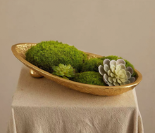 Load image into Gallery viewer, VICKY YAO Design Aesthetic - Exclusive Design Real Preserved Moss Art in Crescent metal base 25 x 7cm