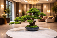 Load image into Gallery viewer, VICKY YAO Design Aesthetic - Exclusive Design Handmade Artificial Bonsai Art L65 x W26 x H45cm