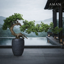 Laden Sie das Bild in den Galerie-Viewer, VICKY YAO Design Aesthetic - Exclusive Realistic Bonsai Art Design 100x80cmH