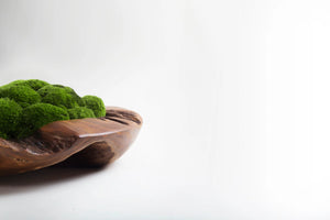 VICKY YAO Design Aesthetic - Real Preserved Moss Bowl Centerpiece, Unique form , table centerpiece The FOREST Bowl.  Moss Centerpiece. D30cm
