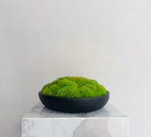 將圖片載入圖庫檢視器 VICKY YAO Design Aesthetic - Real Preserved Moss Black Bowl Centerpiece,Wabisabi Style The FOREST Black Bowl Moss Centerpiece