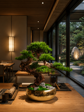 画像をギャラリービューアに読み込む, VICKY YAO Design - Limited Edition Realistic Bonsai Art in Handmade Indian Copper Planter Luxury Sculptural Home Decor L68xW38xH62cm