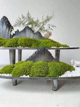 Load image into Gallery viewer, VICKY YAO Design Aesthetic - Exclusive Design Handmade Preserved Moss Feng Shui Realistic Bonsai Art